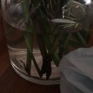 Meet your Posher, Darren